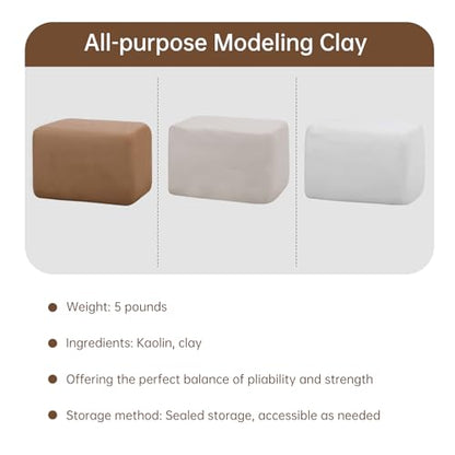 Sculpting Clay, Modeling Clay, 5.5lbs Natural Air Dry Clay Kit with Pottery Sculpting Tool Set, Pottery Clay for Adult - Bright White - color: Bright White