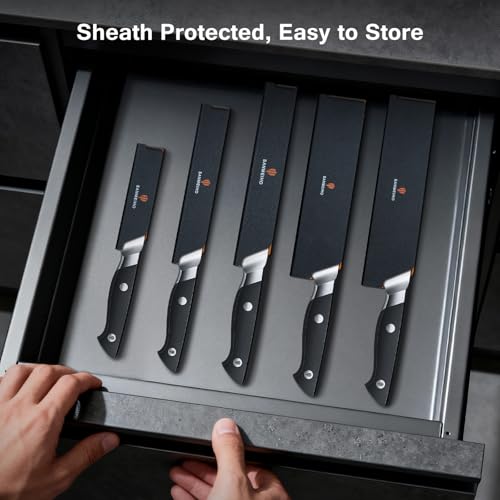 10 PCS Knife Set with Knife Sheath, Japanese Kitchen Knife Set with 5 Layers High Carbon 9Cr18Mov Stainless Steel, Sharp Professional Chef Cooking Knife with Ergonomic Handle, Dishwasher Safe - color: 10PCS Knife Set