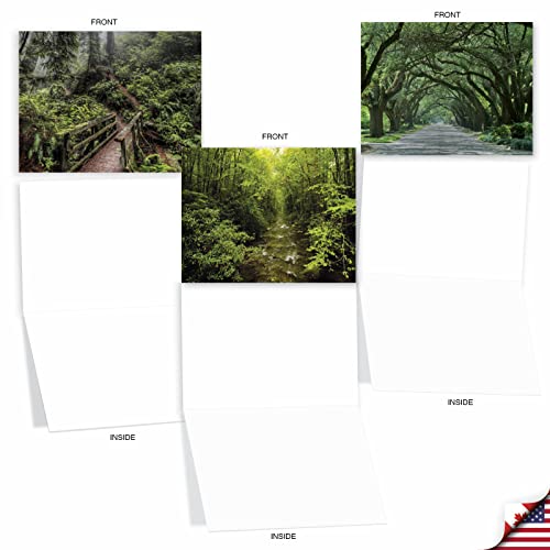 Best Card Co Box of 10 All Occasion Cards Blank (4 x 5.12 Inch) Scenic Landscape Cards Assorted Nature Trails for Men and Women M6467OCB-NB - style: Nature Trails
