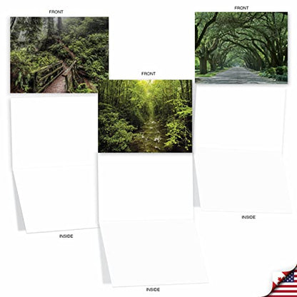 Best Card Co Box of 10 All Occasion Cards Blank (4 x 5.12 Inch) Scenic Landscape Cards Assorted Nature Trails for Men and Women M6467OCB-NB - style: Nature Trails