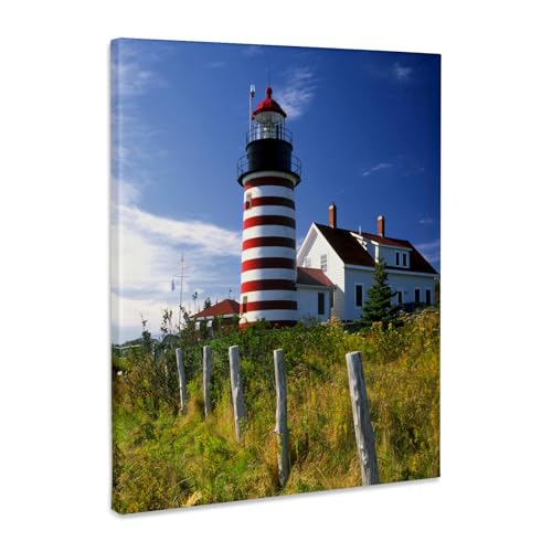 3dRose Museum Grade Canvas Wrap, Multicolor - size: 20"L x 16"W