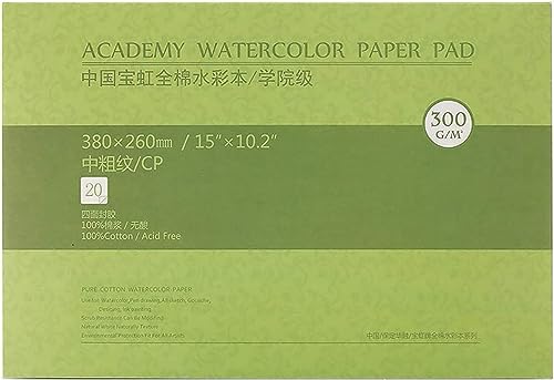 MEEDEN 15×10.2" Cotton Watercolor Paper Block, Textured Surface Watercolor Paper, Cold Press, 140lb/300gsm, 20 Sheets for Painting & Drawing, Wet, Mixed Media - color: Cold Press, size: 15×10.2"