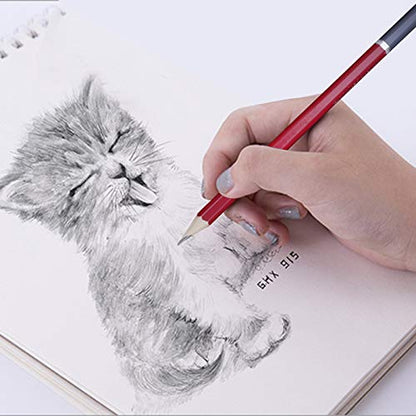 BXT 18pcs Wood Charcoal Pencil Set - Drawing Writing Pencil 8B 6B 4B 2B 2H H HB F, Graphite Pencil,Compressed Charcoal Sticks,Art Eraser, Mini Pencil Sharpener,Gift for Aritists,Hobbyist,Beginner - color: 18pcs