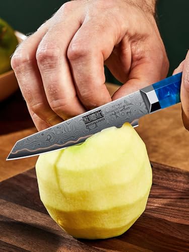 HOSHANHO Damascus Paring Knife 4 Inch, 67-Layer Damascus Steel Professional Small Kitchen Knives, Ultra Sharp Fruit Knife with Ergonomic Blue Resin Stabilized Wood Handle and Wood Gift Box - size: 4"