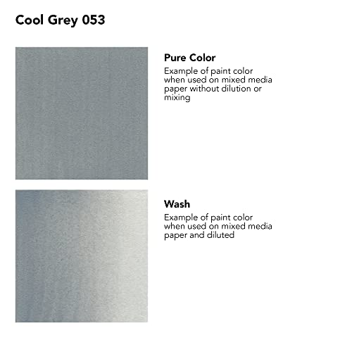 Daler Rowney FW Artists Acrylic Ink 29.5 ML Pot - Cool Grey