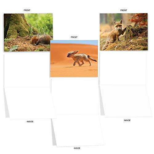 The Best Card Company - 10 Adorable Note Cards Blank (4 x 5.12 Inch) - Wildlife and Animal, Assorted Boxed Set - Little Foxes M6480OCB - style: Little Foxes