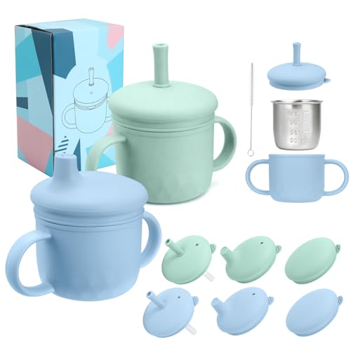 2PCS Stainless Steel Sippy Cups for Toddlers1-3, Baby Straw Cups for 6+Month Old with Travel Lid, Silicone Straw, Replacement Straw & Cleaning Brush-8oz Toddler Cups Spill Proof Set (Blue+Green) - color: Green/Blue