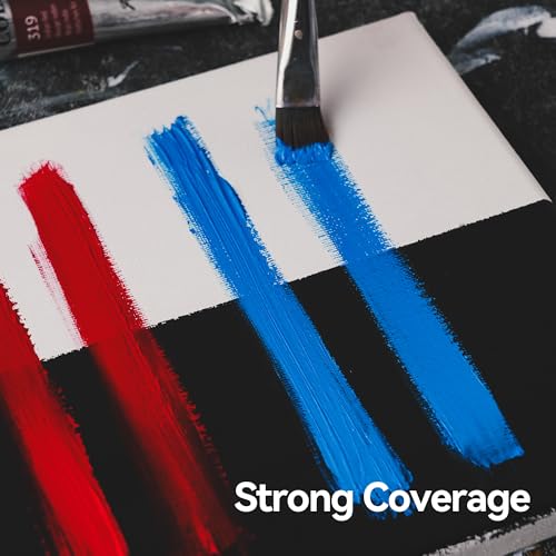 PHOENIX Artist Oil Paint Set - 12 Color x 1.35 Oz. / 40ml Tubes Professional Quality Oil Based Paint for Canvas Painting - color: 12 colors