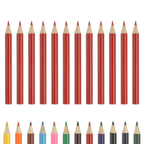 PATIKIL Colored Pencils, Red Color Cute Drawing Pencils with Oil-Based Cores Art Scrapbook Supplies for Adult Coloring Books Artists Beginners Drawing Sketching, 12 Pcs - color: Red