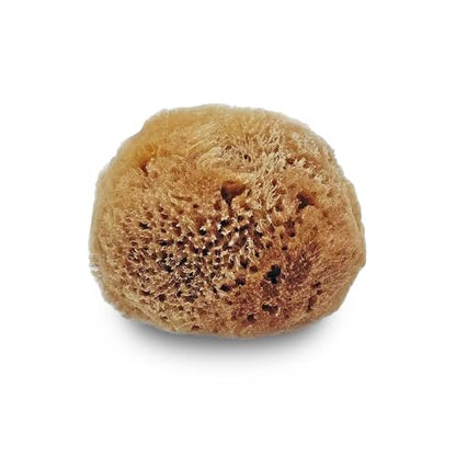 Lullingworth® Artist Natural Sea Sponges: Unbleached 10 Pack 2-4 inch Value Tool Set-Faux Painting Effects, Acrylic Paint, Watercolor, Texturing, Marbling, Clay, Pottery, Ceramics, Crafts & Hobby