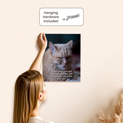 3dRose Ginger Cat. A cat is more intelligent than people believe... Museum Grade Canvas Wrap 11x14 - size: 11"L x 14"W