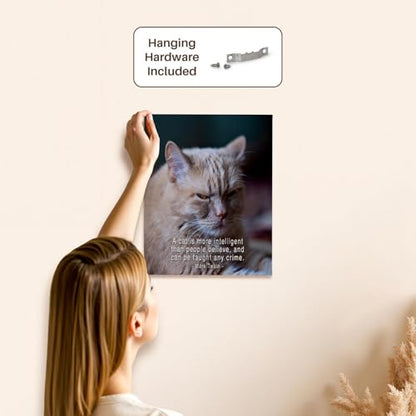 3dRose Ginger Cat. A cat is more intelligent than people believe... Museum Grade Canvas Wrap 11x14 - size: 11"L x 14"W