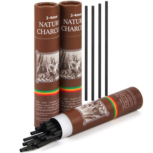 Gueevin 50 Pcs Willow Charcoal Sticks, Willow Charcoal, Artists, Beginners, Students, Perfect for Sketching, Drawing, Shading, and Fine Back to School Christmas Art Gifts (2-4mm) - size: 2-4mm