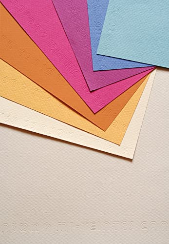 CANSON Mi-Teintes Coloured Drawing 160gsm A4 Paper Pack, Double Sided: Honeycomb & Fine Grain, 10 Pastel Colour Sheets, for Professional Artists & Illustrators - color: ASTEL COLOURS