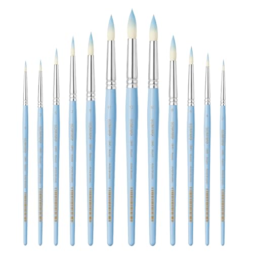 Professional Watercolor Paint Brush Set, 12 Pcs Round Artist Paint Brushes for Watercolor, Oil, Gouache and Acrylic Painting, Blue Handle - color: Blue, size: Round