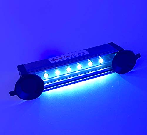 SpeedPRO 15 Second LED UV Cure Lamp for Windshield Repair