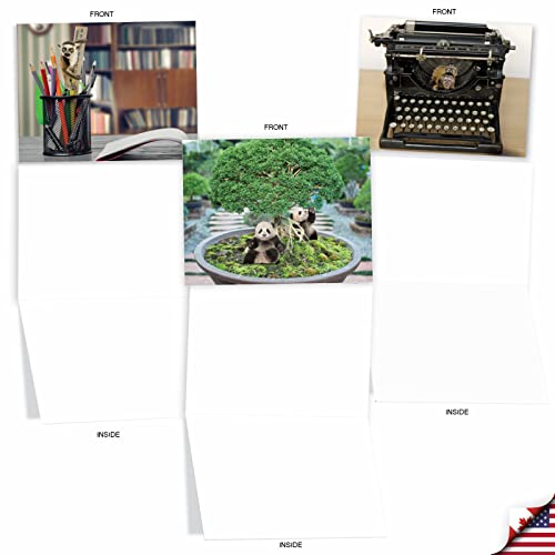 The Best Card Company - 10 Adorable Note Cards Blank (4 x 5.12 Inch) - Wildlife and Animal, Assorted Boxed Set - Minimals M6449OCB - style: Minimals