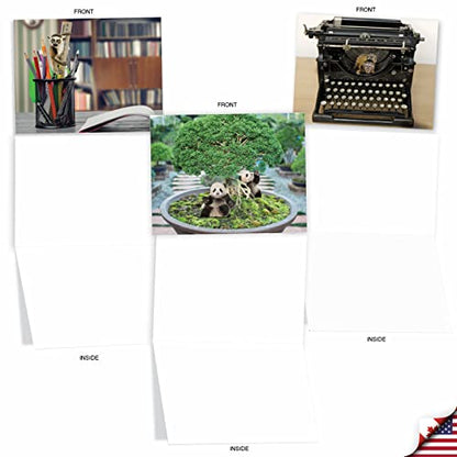 The Best Card Company - 10 Adorable Note Cards Blank (4 x 5.12 Inch) - Wildlife and Animal, Assorted Boxed Set - Minimals M6449OCB - style: Minimals