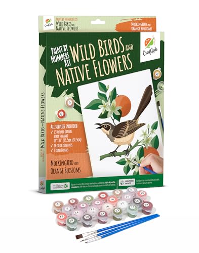 CraftLab Painting Kit - Paint by Numbers for Adults, Acrylic, Canvas, Brushes, Mockingbird & Orange Blossoms - color: Mockingbird & Orange Blossoms