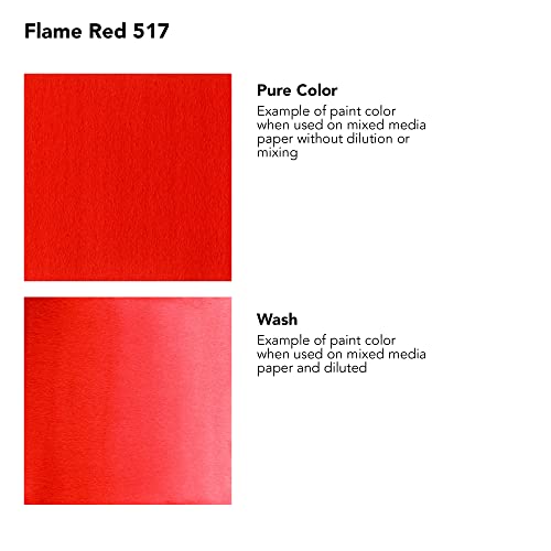 Daler-Rowney FW Acrylic Artists Ink, 180ml/6oz Plastic Bottle, Flame Red (D160181517)