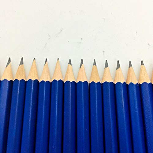 XDT#3B Drawing Pencils 24 Piece Set, Pro Art Graphite Sketching&Shading Supplies, Ideal For Kid Beginner Student Adults Artist - color: 3B 25 Pc Set