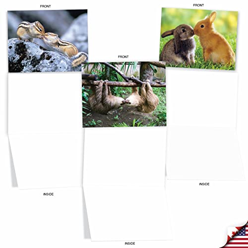 The Best Card Company - 10 Adorable Note Cards Blank (4 x 5.12 Inch) - Wildlife and Animal, Assorted Boxed Set - Animal Smackers M6594OCB - style: Animal Smackers