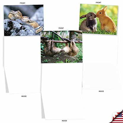 The Best Card Company - 10 Adorable Note Cards Blank (4 x 5.12 Inch) - Wildlife and Animal, Assorted Boxed Set - Animal Smackers M6594OCB - style: Animal Smackers