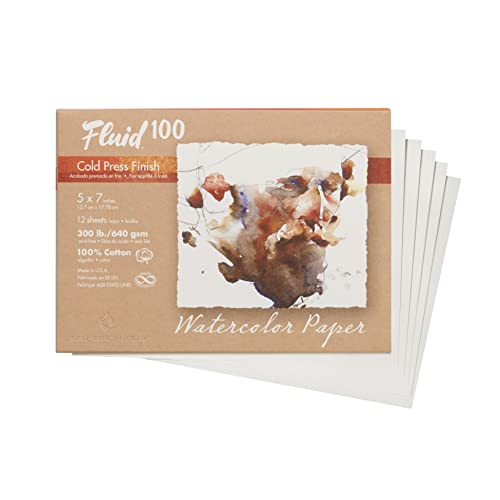 Fluid 100 Watercolor Paper, 5 x 7 Pochette, 12 Sheets, 300 lb (640 GSM) 100% Cotton Cold Press for Artist Painting and Wet Media - size: 5 x 7 (300 lb)