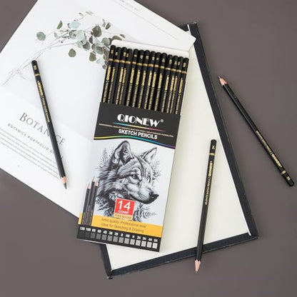 Qionew Professional Sketching Pencil for Drawing,14 Pack, Graphite Pencils | Drawing Sketching Pencil Set, 12B-5H, Art Pencils for Drawing and Shading, Sketching, Ideal for Beginners & Pro Artists