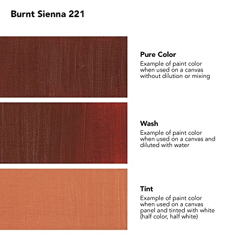 Daler-Rowney Georgian Water Mixable Oil Paint Burnt Sienna 37ml Tube - Art Paints for Canvas Paper and More - Oil Painting Supplies for Artists and Students - Artist Oil Paint for Any Skill Set