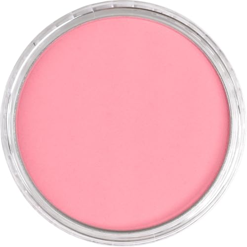 PanPastel Artist Pastels by GOLDEN, Pearlescent Red, 2.44” / 62mm Pan Diameter, Professional Artist Pastels, Unique Pan Format (cake-like) - color: Pearlescent Red, size: 1 Count (Pack of 1)
