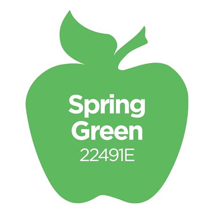 Apple Barrel 22491E ACRYLIC PAINT, 16 oz, Spring Green (Pack of 2) - color: Spring Green, size: 16 Fl Oz (Pack of 2)