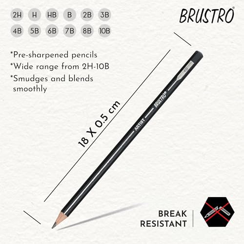 BRUSTRO Fine Art Graphite Pencil - Set of 12 (10B - 2H) with Mechanical Precision Retractable Eraser(2.3mm) | Ideal for Drawing,Sketching,Mandala,Shading,Artwork, Beginners, Artists and Professionals - style: Graphite Pencil + Mechanical Eraser