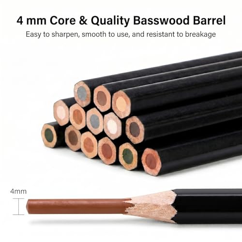 Marie's Professional Charcoal Drawing Set - Premium Artist Sketching Pencils for Portraits & Fine Art - Ideal for Professional Artists & Studio Creation(Red Brown) - style: Red Brown (10pcs)