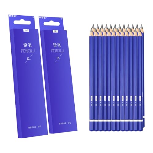 XDT#10B Drawing Pencils 24 Piece Set, Pro Art Graphite Sketching&Shading Supplies, Ideal For Kid Beginner Student Adults Artist - color: 10B 27 Pc Set