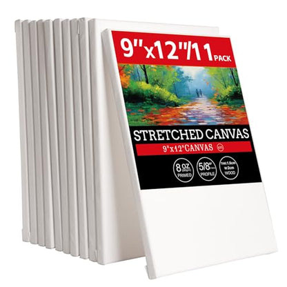 11 Pack 9x12 Stretched Canvases - 100% Cotton Large Canvas Boards for Oil, Acrylic & Other Painting Media - size: 9x12 (11Pack)
