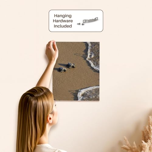 3dRose Baby Kemps riley sea turtles walking towards surf, South Texas, USA Museum Grade Canvas Wrap 11x14 - size: 11"L x 14"W