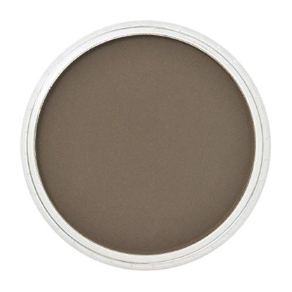 PanPastel Ultra Soft Artist Pastel, Raw Umber Shade - color: Brow Umber Shade, size: 1 Count (Pack of 1)