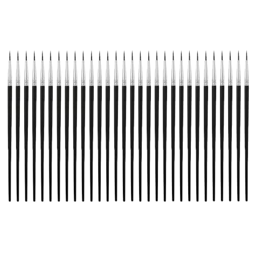 30 Pcs Tiny Detail Paint Brushes,Fine Tip Paint Brushes for Detail,Small Paintbrushes for Miniature,Scale Model, Acrylic Oil Watercolor Painting,Black