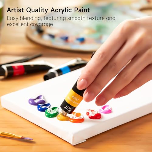 Shuttle Art Acrylic Paint Set, 16 x12ml Tubes Artist Quality Non Toxic Rich Pigments Colors Great for Kids Adults Professional Painting on Canvas Wood Clay Fabric Ceramic Crafts - color: 16 Colors