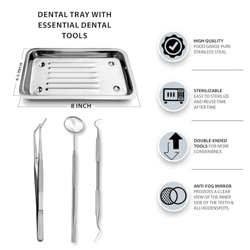 Adults Basic Economy Professional Dental Hygiene Kit With Tray Plaque Remover Set, Stainless Steel Tools, Tarter Scraper, Tooth Pick, Dental Scaler and Mouth Mirror Plier + Tray Instruments Home (15)