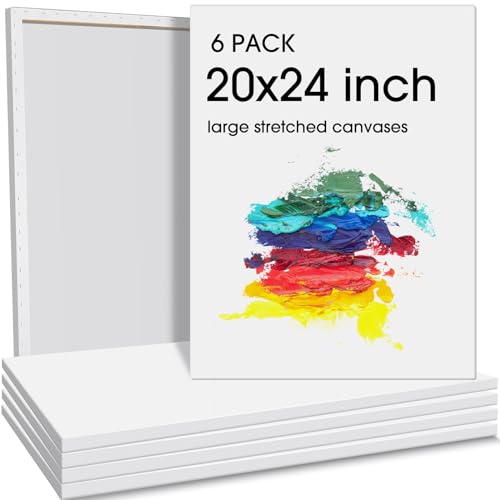 Sherr 6 Pcs 24 x 20 Inch Large Canvas for Painting Cotton Stretched Canvas Blank White Canvases Triple Primed Painting Profile Blank Canvases for Watercolor Acrylics Oil Painting - size: 24 x 20 Inch