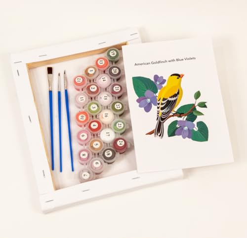 CraftLab Wild Birds Paint by Numbers Kit for Adults Teens Beginners, DIY Painting Accessories, Brushes Acrylic Paints, Stretched Canvas 10 x 12 inch Gift (Goldfinch & Violets) - color: Goldfinch & Violets
