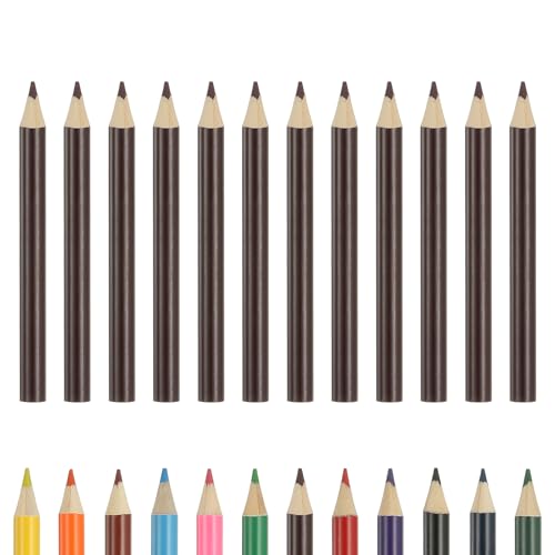 PATIKIL Colored Pencils, Dark Purple Color Cute Drawing Pencils with Oil-Based Cores Art Scrapbook Supplies for Adult Coloring Books Artists Beginners Drawing Sketching, 12 Pcs - color: Dark Purple