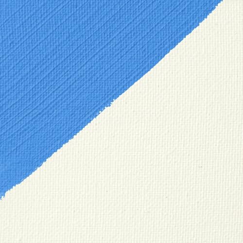 Liquitex Professional Gesso Surface Prep Medium, 118ml (4-oz), Clear - color: Clear, size: 4 Fl Oz (Pack of 1), style: 4-oz