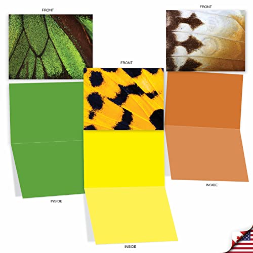 The Best Card Company - 10 Assorted Blank Notecards Boxed Set 4 x 5.12 Inch with Envelopes (10 Designs, 1 Each) Boxed Assorted Kid Cards of Pets - WING IT M3108 - style: Wing It