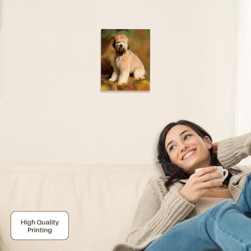 3dRose Soft Coated Wheaten Terrier Museum Grade Canvas Wrap 8x10 - size: 8"L x 10"W