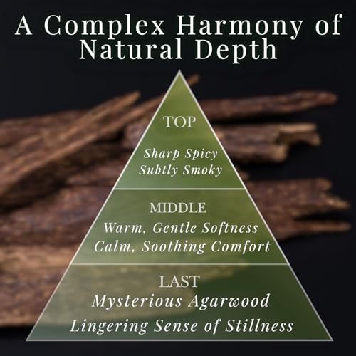 Agarwood Premium Japanese Incense Sticks 60sticks Coreless Low Smoke Natural Charcoal Free Non Toxic Temple Kyoto Aroma Aromatherapy Meditation Calming Stress Relief Relaxation Yoga Zen TOMORI