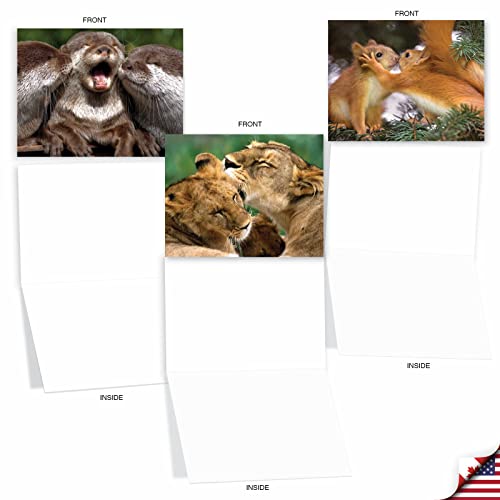 The Best Card Company - 10 Adorable Note Cards Blank (4 x 5.12 Inch) - Wildlife and Animal, Assorted Boxed Set - Animal Smackers M6594OCB - style: Animal Smackers