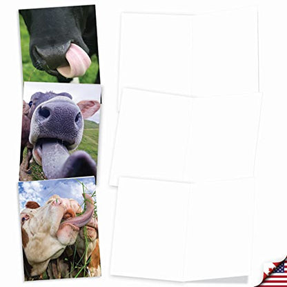 The Best Card Company - 10 Adorable Note Cards Blank (4 x 5.12 Inch) - Wildlife and Animals, Assorted Boxed Set - Cowlicks M4604OCB-B1x10 - style: Cowlicks
